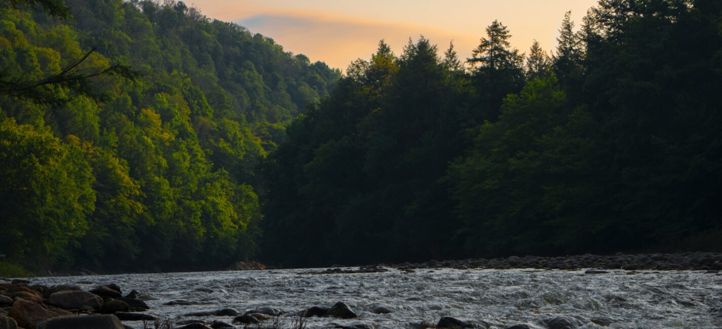 One Mile from the Appalachian Trail